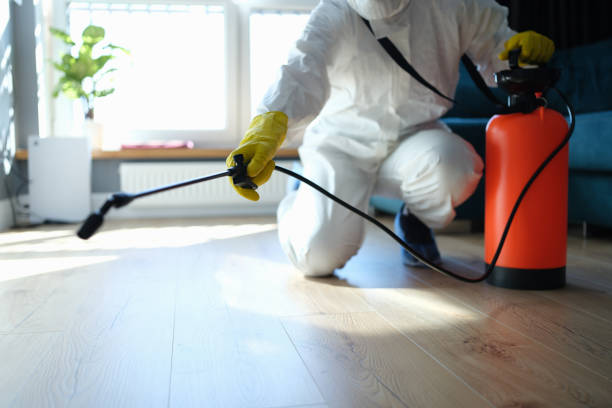 Best Affordable Pest Control Services  in Broadmoor, CA
