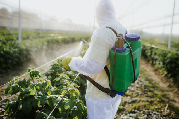 Best Ant Control Services  in Broadmoor, CA